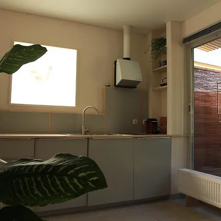 Greenhouse Zentral Im Grunen Apartment *