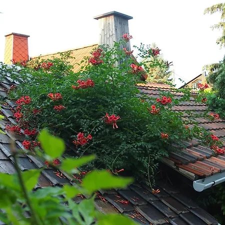Greenhouse Zentral Im Grünen * Erfurt