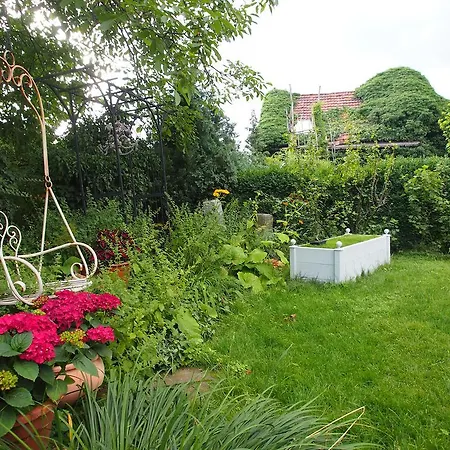 Apartment Greenhouse Zentral Im Grünen Erfurt